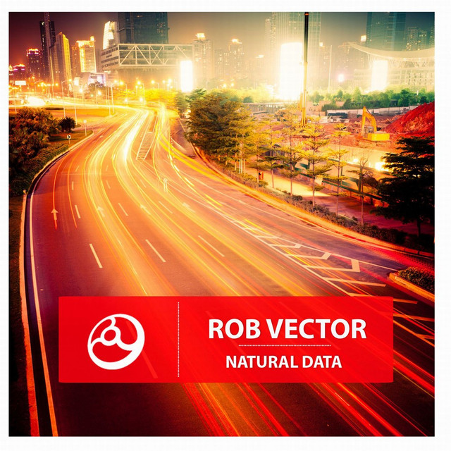 Rob Vector Photo