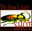 Shot cover