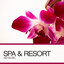 Spa & Resort, Vol. 1 Albumcover