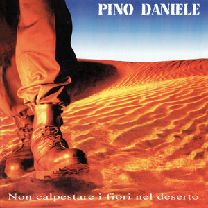 Non calpestare i fiori nel deserto cover