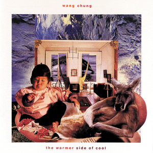 The Warmer Side of Cool album