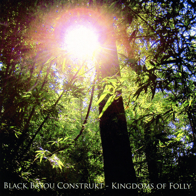 Black Bayou Construkt Photo
