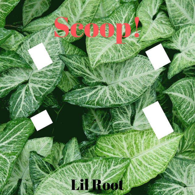 Scoop! by Lil Root | Listen on Spotify, Deezer, Apple Music | PUSH.fm