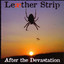 After the Devastation cover