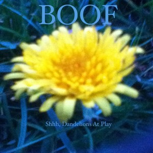 Boof