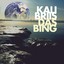 Das Bing Albumcover