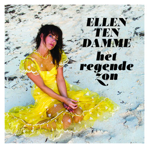 Het Regende Zon cover