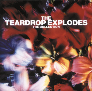 The Collection album