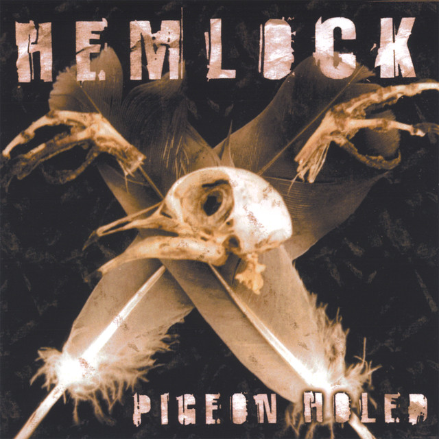 Pigeonholed cover
