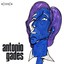 Antonio Gades Albumcover