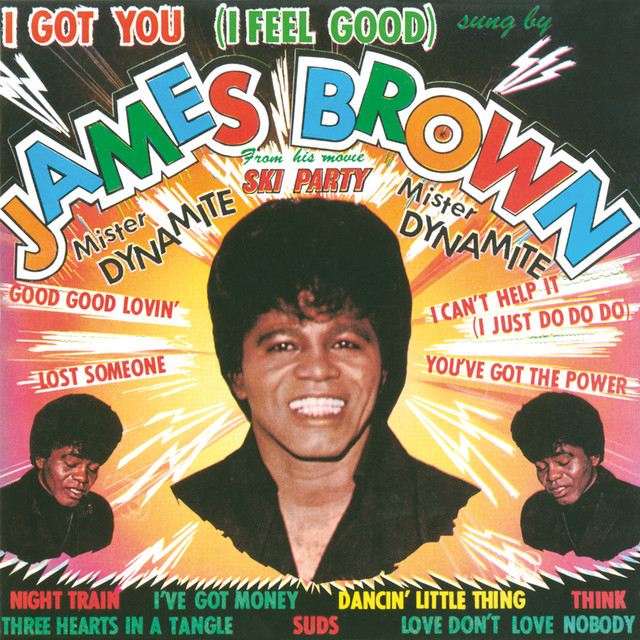 I Got You (i Feel Good) cover