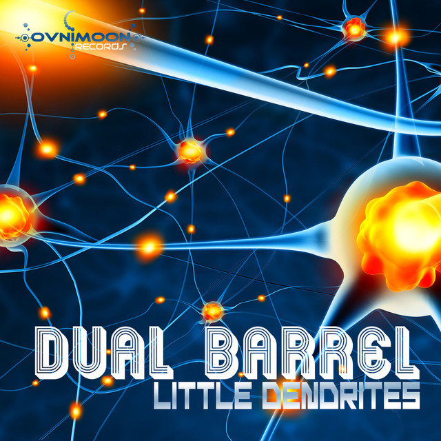 Dual Barrel Photo