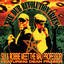 The Dub Revolutionaries (feat. The Mad Professor) cover