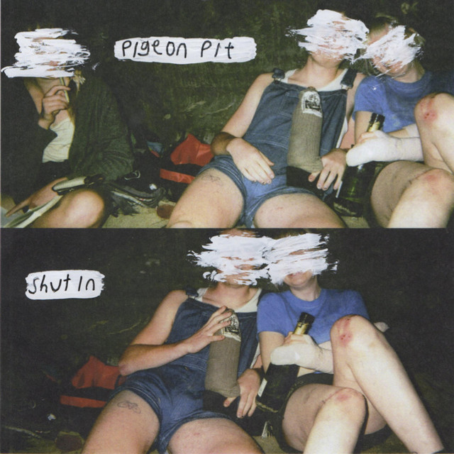 pigeon pit Photo