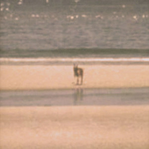 Territories Albumcover