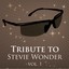 Tritbute to Stevie Wonder, Vol. 1 Albumcover