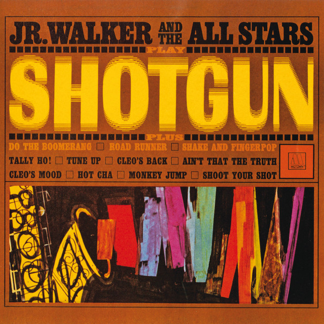 Shotgun cover