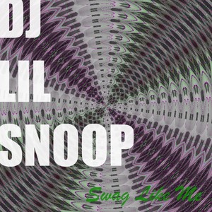 DJ Lil Snoop