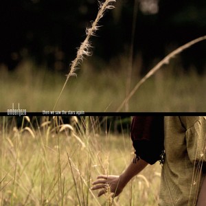 Then We Saw the Stars Again Albumcover