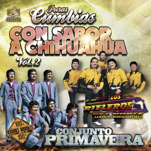 Puras Cumbias Con Sabor a Chihuahua, Vol. 2 album