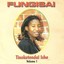 Tinokutendai Ishe, Vol. 1 Albumcover
