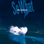 So What cover