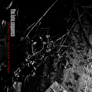 The Day the Curse Grew Stronger cover