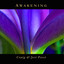 Awakening Albumcover