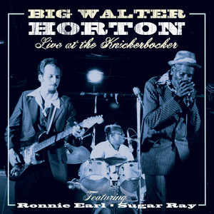 Live at the Knickerbocker 2014 Re-Mix album