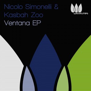 Nicolo Simonelli