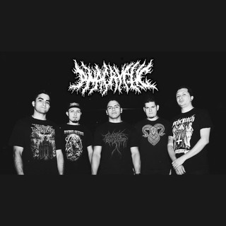 Anacryptic Photo