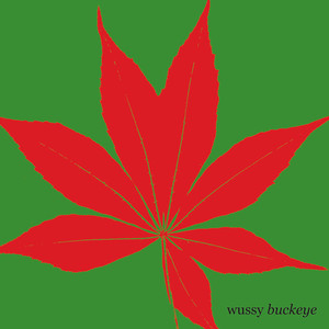 Buckeye album