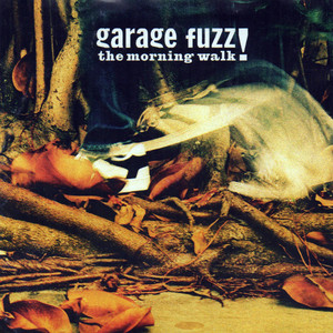 The Morning Walk cover