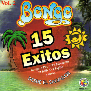 15 Exitos Vol. 2 Albumcover