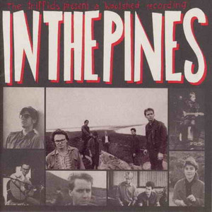In the Pines album