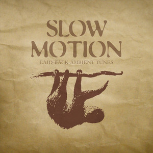 Slow Motion cover