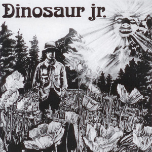 Dinosaur cover
