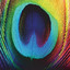 Peacock cover