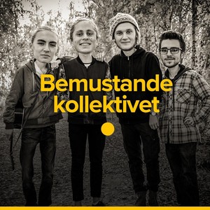 Bemustandekollektivet