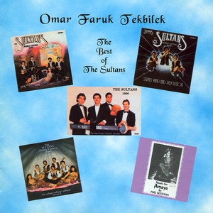 The Best of the Sultans album