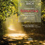 Bach: Complete Sonatas for Violin and Harpsichord cover