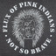 Not So Brave cover