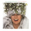 Christmas cover