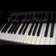 You Are Near Albumcover