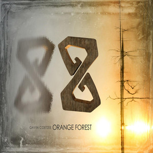 Orange Forest cover