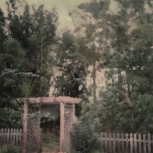 Backyard Cemetery: Revisited cover