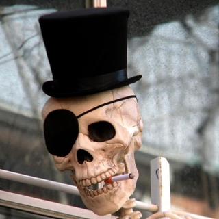 Dr. Snik Photo