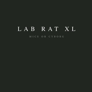 Lab Rat 1 cover