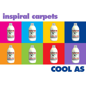Cool As album