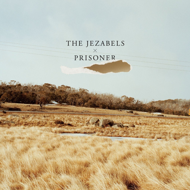 Prisoner cover